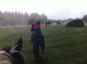 mist-in-quantock-hills-on-horseback