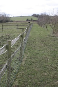 dog proof fence