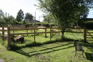 New paddock